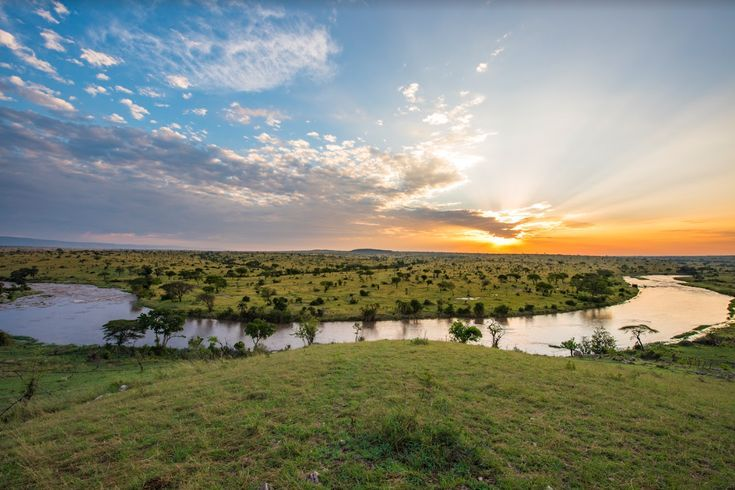 The Mara River