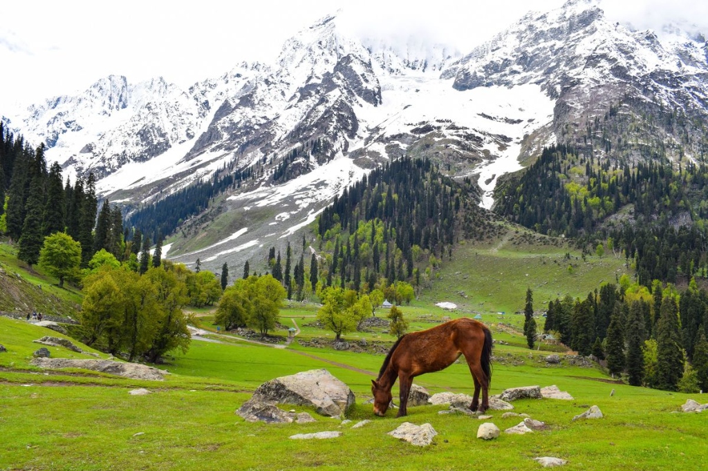 Thajiwas Glacier