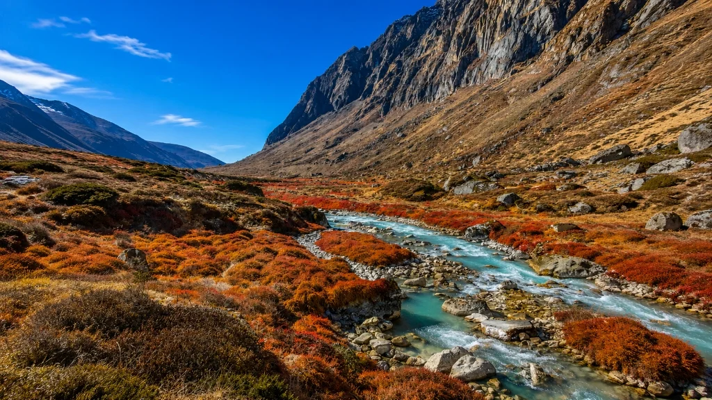 Goechala Trek trail in Yuksom, Sikkim for Trippy Travels trekking adventure itinerary