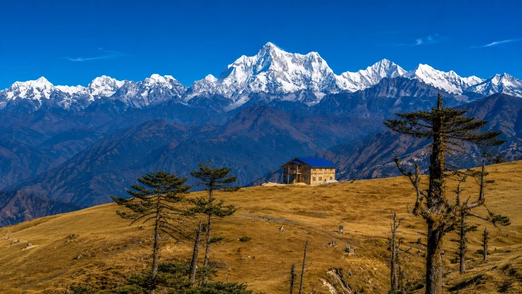 Singalila Trek trail in Darjeeling, West Bengal for Trippy Travels trekking adventure itinerary